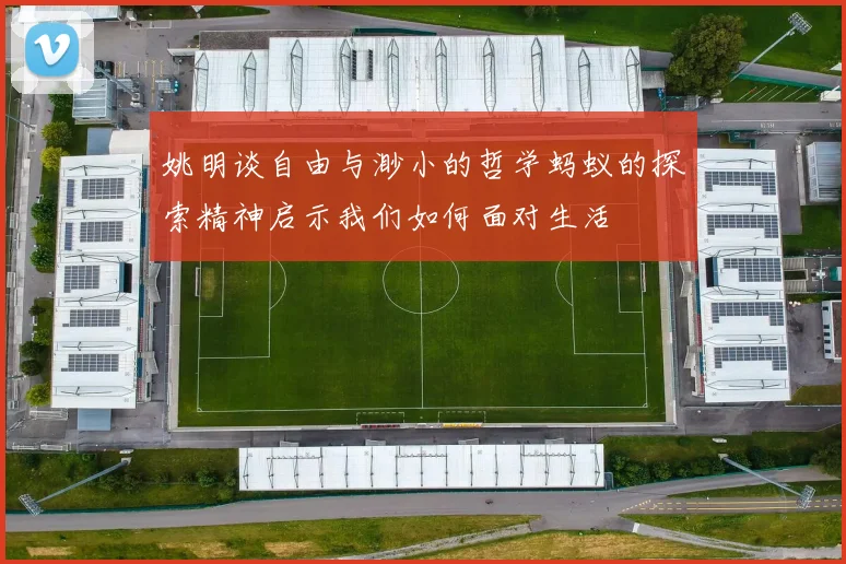 姚明谈自由与渺小的哲学蚂蚁的探索精神启示我们如何面对生活