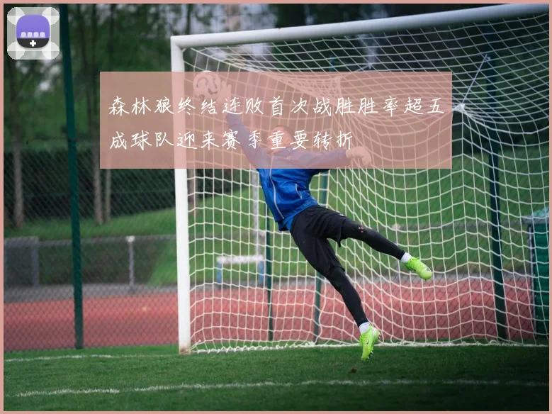 森林狼终结连败首次战胜胜率超五成球队迎来赛季重要转折