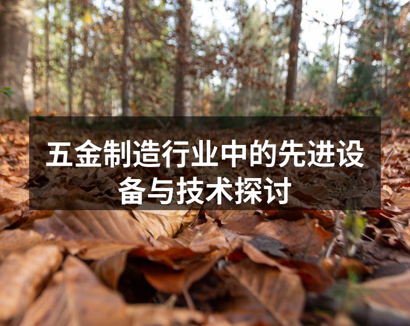 五金制造行业中的先进设备与技术探讨